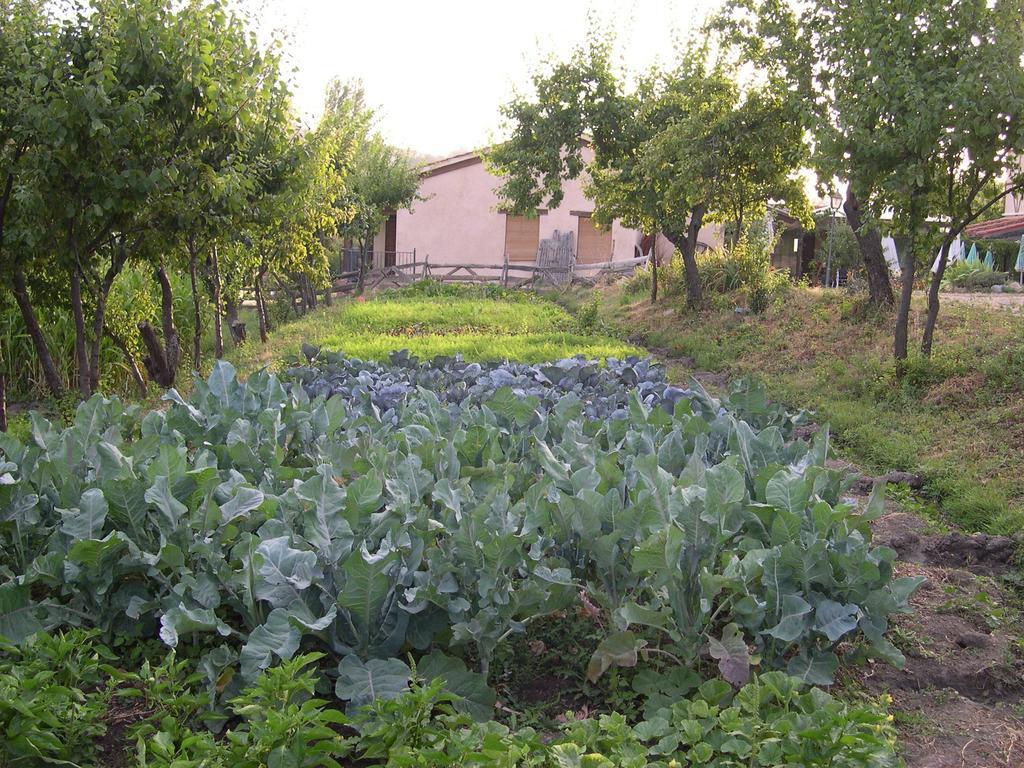 Отель La Huerta De San Lorenzo Сеговия Экстерьер фото